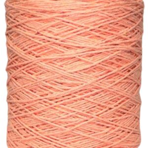 Barbante Prediletto Fio 6 Cor 106 Salmão Neon de 1kg